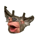 buc_pog