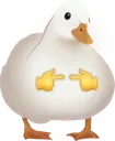DuckShy DuckShy