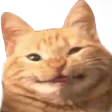 AwkSmile AwkSmile