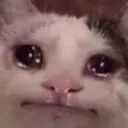 SadBeluga Discord Emoji