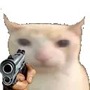 BruhCatgun