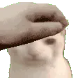 PETTHEBRUHCATFAST