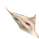bruhcat3D bruhcat3D