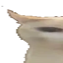 wideBruh1