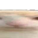 wideBruh2