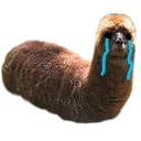 kebaaabsad