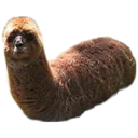 kebaab