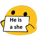 Heisashe