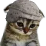 kedicik