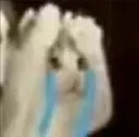 fh_catcry