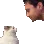 CatSlappin CatSlappin