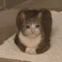 CatSad CatSad