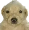 GW_QueCh