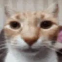 Whar