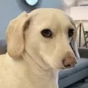 Not_Too_Fond