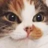 nyeh