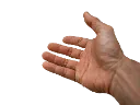 hand hand