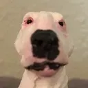 AgedWalter AgedWalter