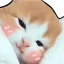 cozy