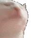meee