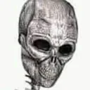 brainnot brainnot