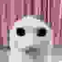 PUSSY_DEMON