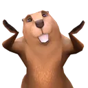 ShrugFT