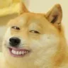 doge