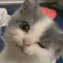 winkywink