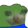 pepocat_cry Discord Emoji