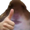 bruhthumbsup bruhthumbsup