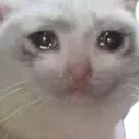 crying_cat