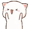 hypecat hypecat
