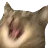 screm