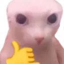 bingus