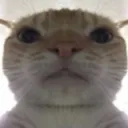 hello hello
