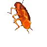 better_roach