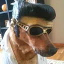Juan Juan