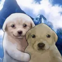 Tequieroamigo