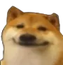 bruhdog