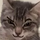 deviouscat Discord Emoji