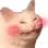 flushedkitty Discord Emoji