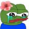 cry_aaraha_tj