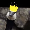 GooseBruh