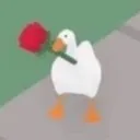 gooseforyou