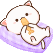 cat_comfy Discord emoji