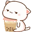 cat_boba