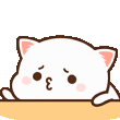 cat_angry Discord emoji