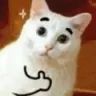 CatTHUMBSUP CatTHUMBSUP