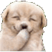 tc_cuteDogLaugh